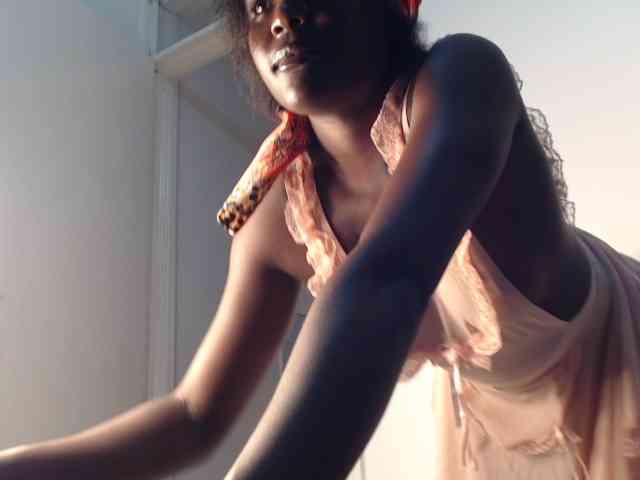 Too-hot webcam