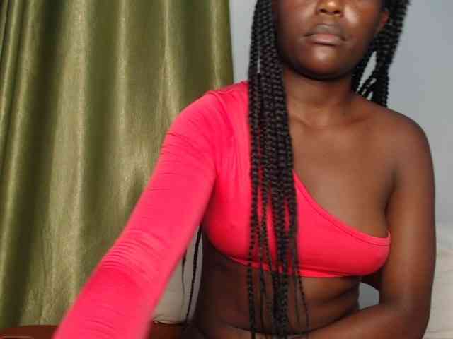 Too-hot webcam