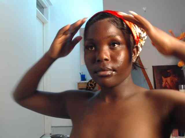Too-hot webcam