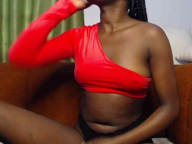 Too-hot webcam