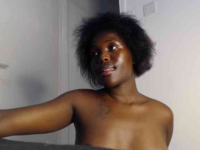 Too-hot webcam