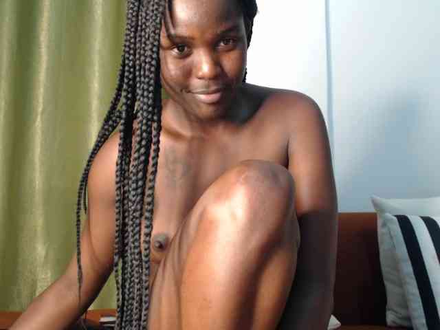 Too-hot webcam