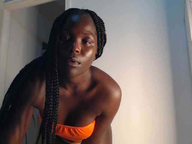 Too-hot webcam