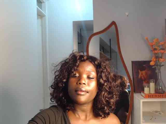 Too-hot webcam