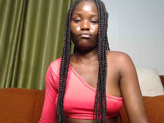 Too-hot webcam