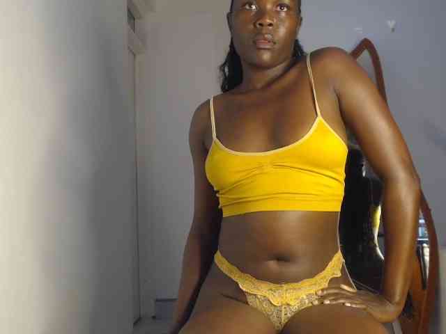 Too-hot webcam