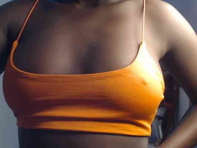 Too-hot webcam