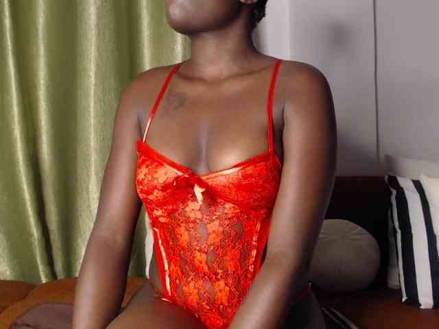 Too-hot webcam