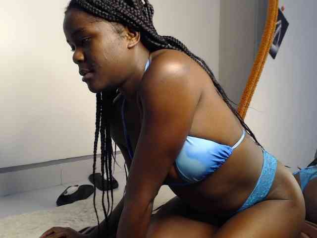 Too-hot webcam