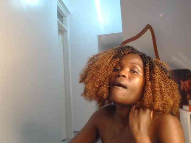 Too-hot webcam