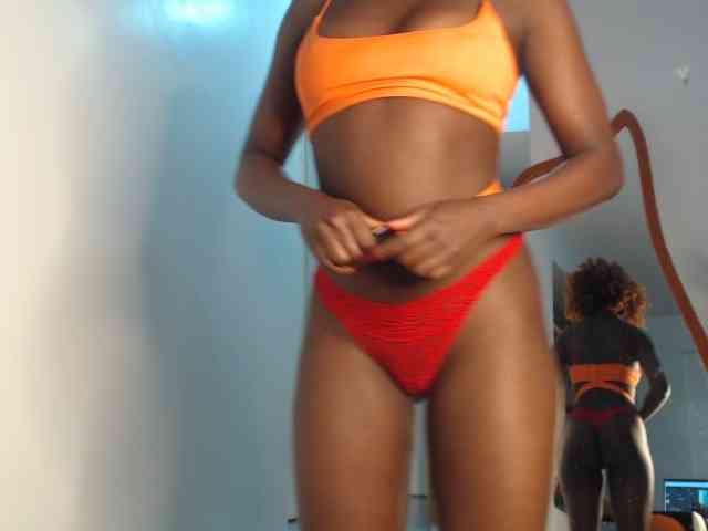 Too-hot webcam