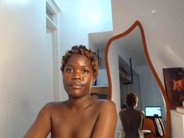 Too-hot webcam