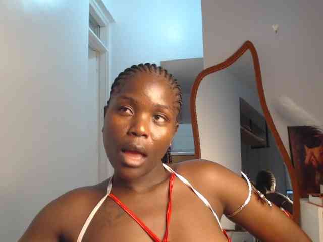 Too-hot webcam