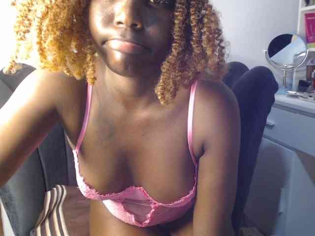 Too-hot webcam