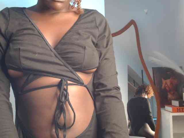 Too-hot webcam