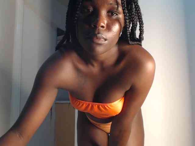 Too-hot webcam