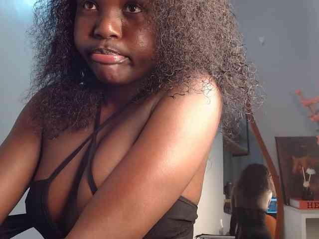 Too-hot webcam