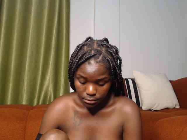 Too-hot webcam