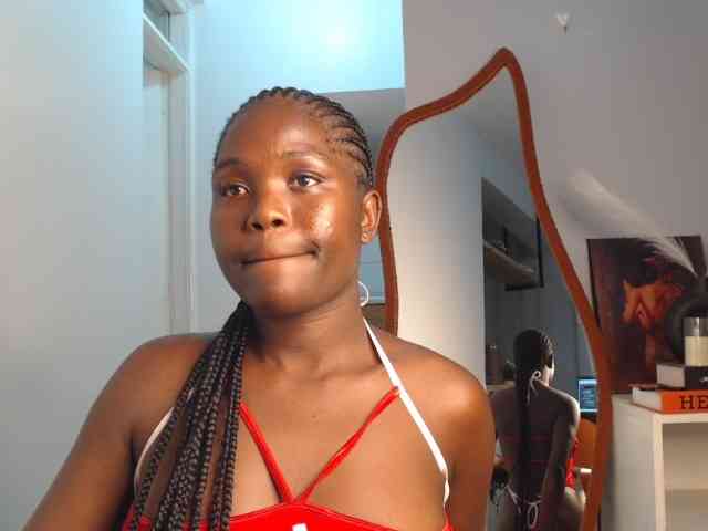 Too-hot webcam