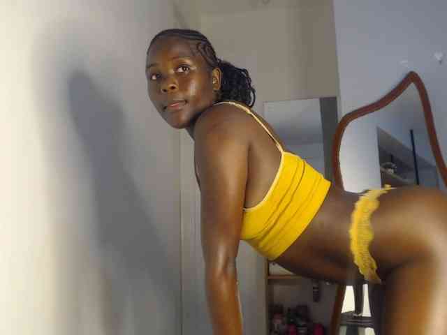 Too-hot webcam