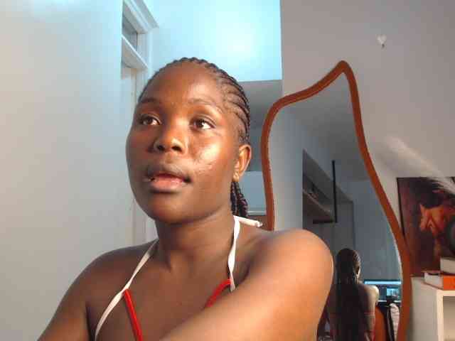 Too-hot webcam