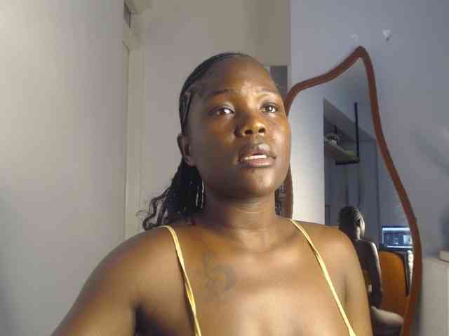Too-hot webcam