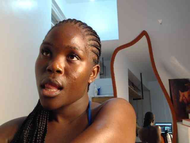 Too-hot webcam