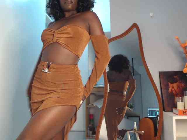 Too-hot webcam
