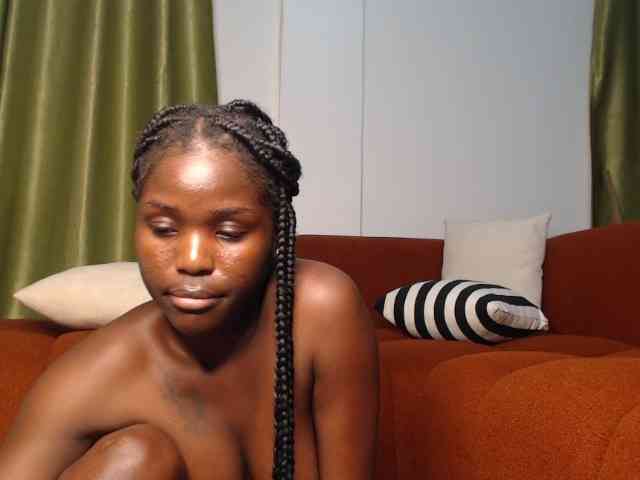 Too-hot webcam