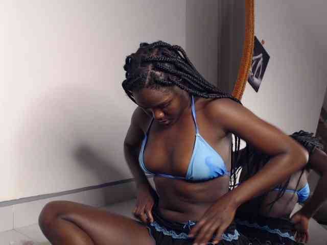 Too-hot webcam