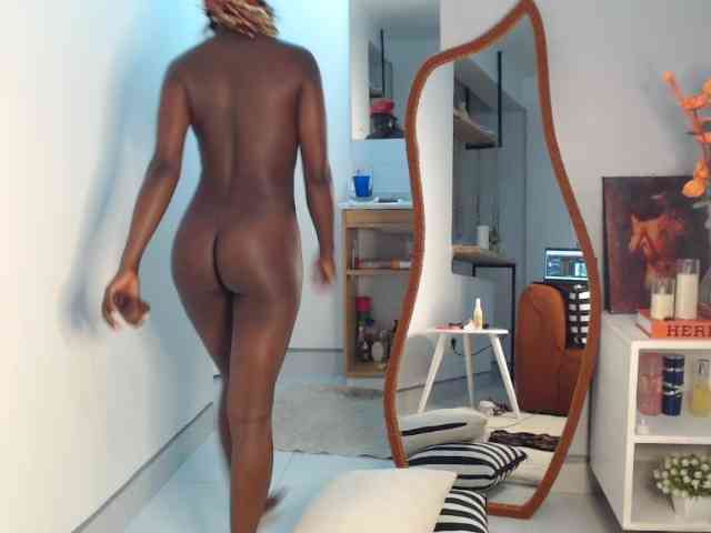 Too-hot webcam