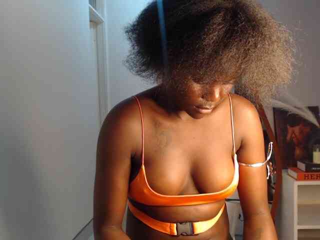 Too-hot webcam