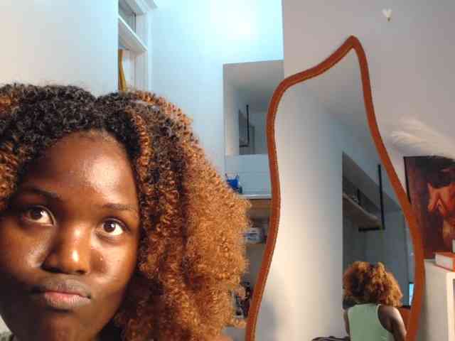Too-hot webcam