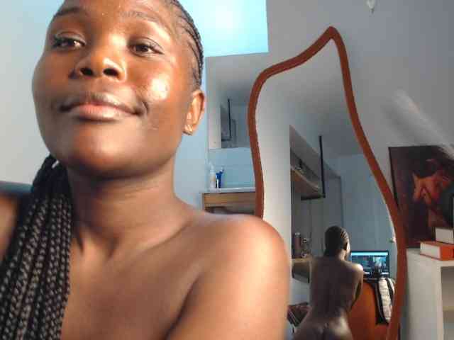 Too-hot webcam