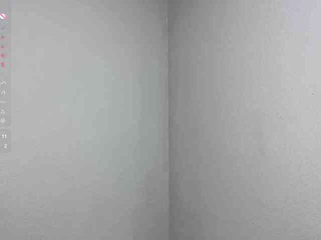 FloVelardes webcam