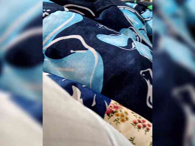 Elplomero Live Webcam on BongaCams