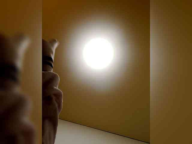 angelina20070 webcam