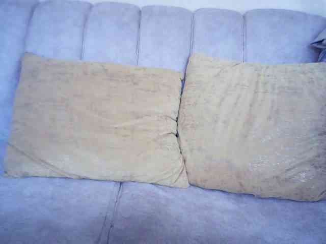 Sexybutties001 webcam