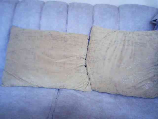 Sexybutties001 webcam