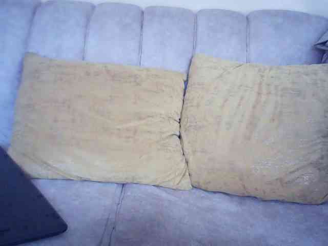 Sexybutties001 webcam