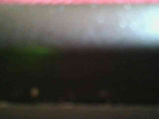 kinkydolll webcam