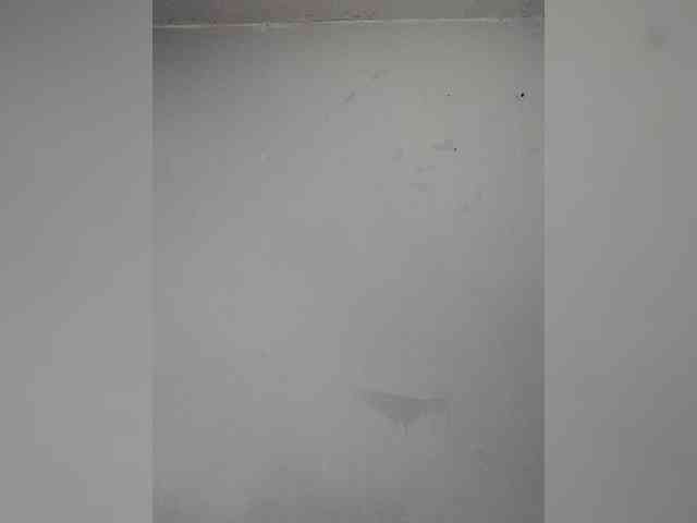 Luxury69 Live Webcam on BongaCams