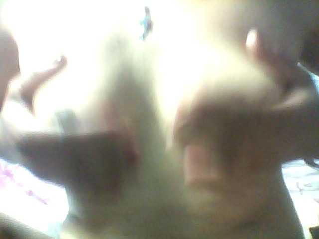 arijoh1a live webcam show
