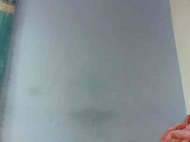 arijoh1a webcam