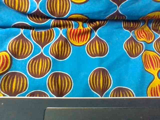arijoh1a webcam