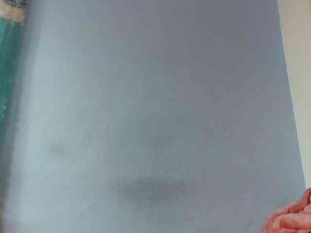 arijoh1a webcam
