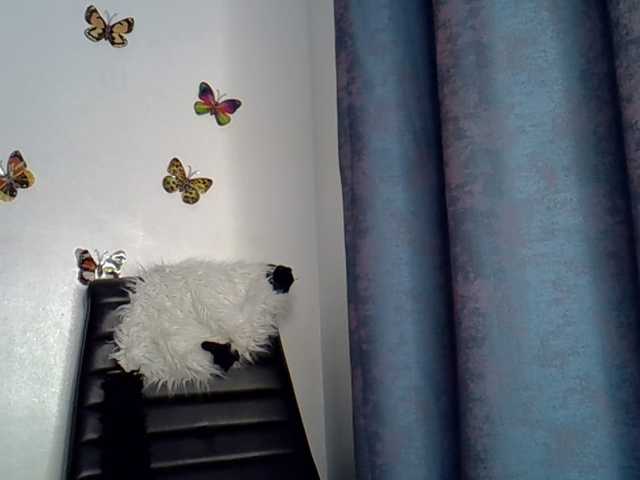VelvetDesire live cam on BongaCams