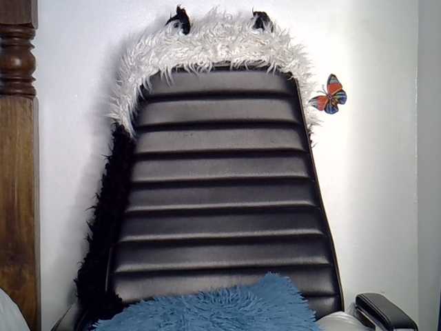 VelvetDesire live cam on BongaCams