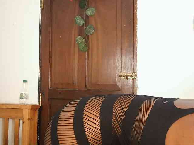 VelvetDesire webcam