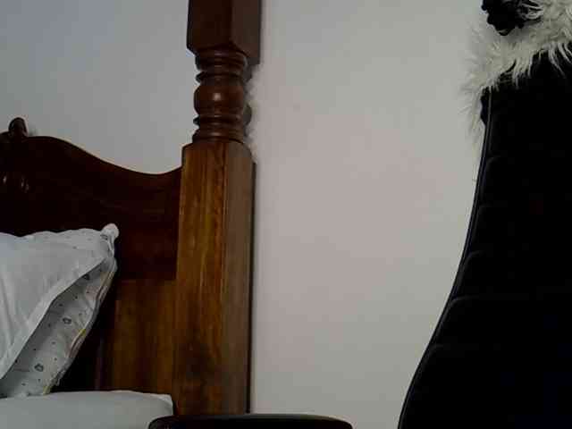 VelvetDesire webcam